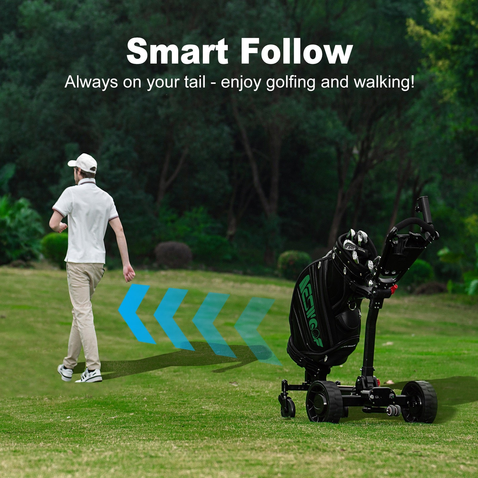 Follow Me Electric Golf Cart Buggy Remote Control Foldable Trolley 500W