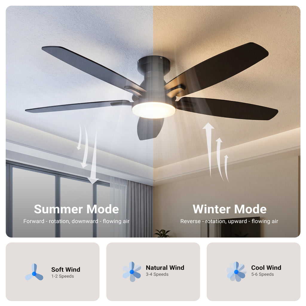 Ceiling Fan with Light 52